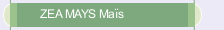 ZEA MAYS Ma&iuml;s